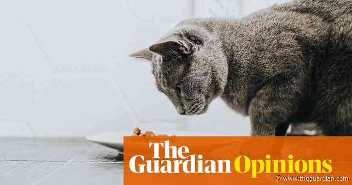 Lab-grown meat is the future for pet food – and that’s a huge opportunity for Britain | Lucy McCormick