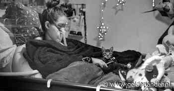 Lezers in tranen over de dood van Diede: ‘Een dappere heldin’