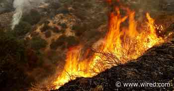 Wildfire Smoke Is Even More Dangerous Than Anyone Knew