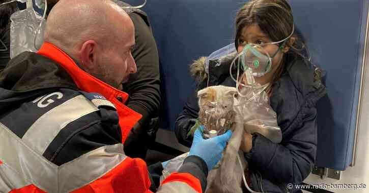 Brand in Wiener Wohnhaus: Sauerstoffmaske für Katze