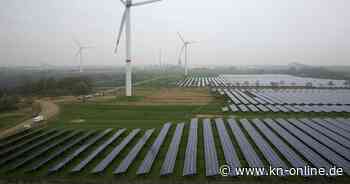 Strompreisschock: Linke fordert neue Kontrollbehörde