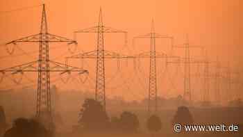 Linkspartei fordert staatliche Kontrollbehörde für Energiemarkt