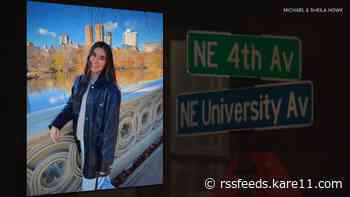 Minnesota woman recovering after being struck in hit-and-run