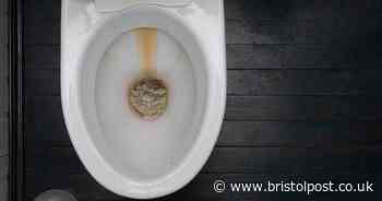 Banish stubborn toilet limescale in '20 minutes' using £1.50 household staple