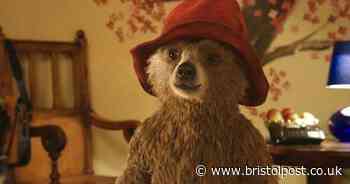 Paddington 4 update as producer delivers news about future