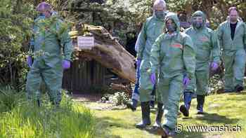 USA investieren mehr als 300 Millionen in Kampf gegen Vogelgrippe