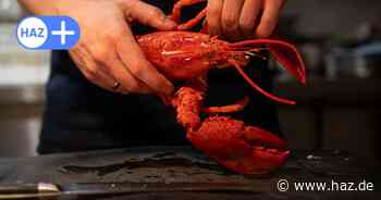 Tipps vom Sternekoch aus Hannover: Handwerk Küchenchef Thomas Wohlfeld bietet Kochkurse an