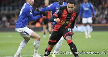 Brooks goal seals points for Cherries against Everton