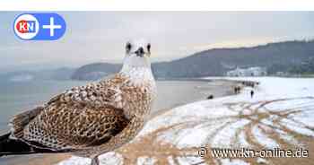 Winterblues: Tipps für Kiel und Schleswig-Holstein gegen das Stimmungstief