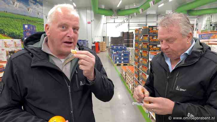 Racende broers gaan gevecht aan met de duinen, maar niet met elkaar