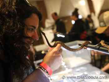 Photo Gallery: Toledo Reptile Show at Graystone Hall in Perrysburg