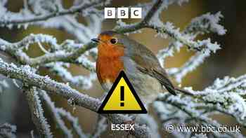 Ice and snow warning issued for Essex this weekend