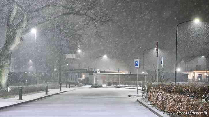 Vroege vogels ontwaken deze ochtend in een witte wereld