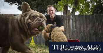 A not-so-crap job: Meet the people paid to pick up pooches’ poo