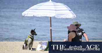 Victoria swelters through a scorcher before late cool change