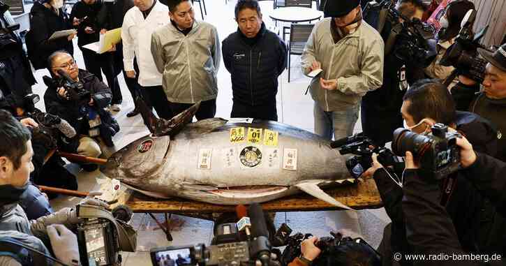 Erste Thunfisch-Auktion in Japan 2025 erzielt hohen Preis