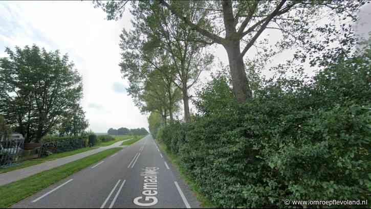 Rutten - Omleiding voor verkeer op Gemaalweg: 180 populieren gekapt