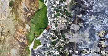 Dog rescued after falling 120ft down cliff