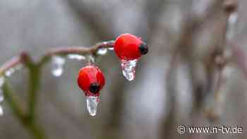 Die Wetterwoche im Schnellcheck: Nach kurzem Tauwetter kommt der Winter zurück