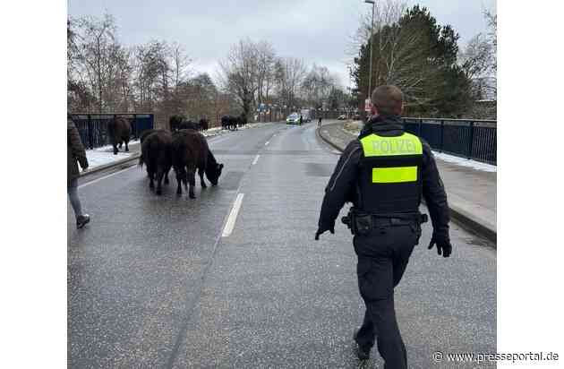 POL-WL: Wochenendpressemitteilung vom 03.01.2025, 12:00 Uhr bis 05.01.2025, 12:00 Uhr