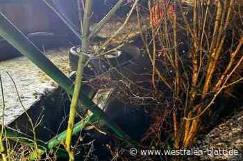 Durchs Brückengeländer: Bad Driburger landet mit Auto und Kind im Bach