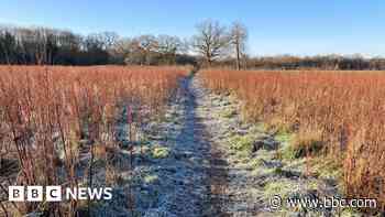 Big Picture: This week's images from the south