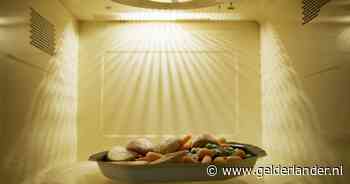 Perfecte combimagnetron om in te bouwen? Deze modellen presteren het best