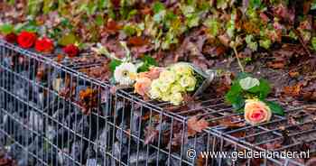 Na Anne Faber opnieuw een vrouw slachtoffer van een psychiatrisch patiënt: Den Dolder is ‘er klaar mee’