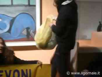 Letame contro il quadro di Picasso: l'ultima follia degli animalisti