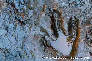 Dinosaur Highway of Sauropod Footprints Provides Snapshot of Middle Jurassic Life