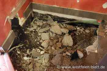 „Ungewöhnliche Geräusche im Kamin“: Feuerwehreinsatz bei Borgentreich