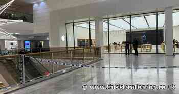 Six teens arrested after 'many phones stolen' in Apple Store Brent Cross