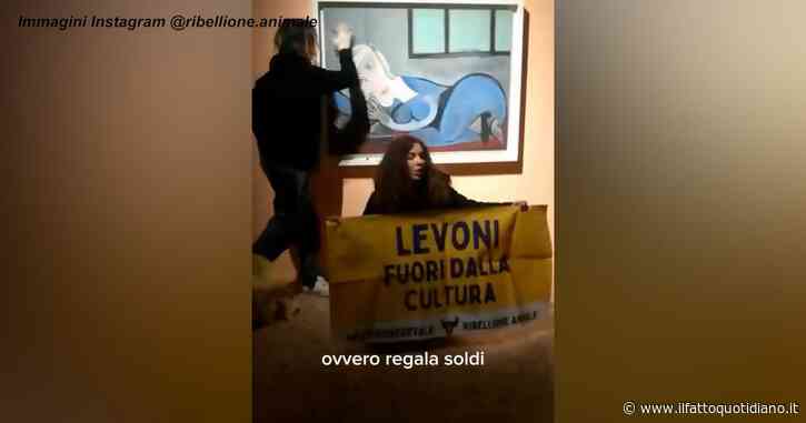 “Levoni fuori dalla cultura”: animalisti gettano letame su un’opera di Picasso a Palazzo Te a Mantova. Identificati