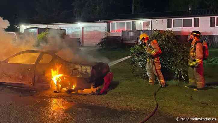 Vehicle fire snuffed out in Hope