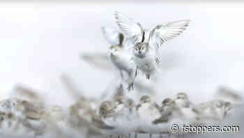 Think in 3D to Improve Your Photography