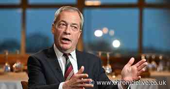 Elon Musk says Nigel Farage 'doesn't have what it takes' to lead Reform UK