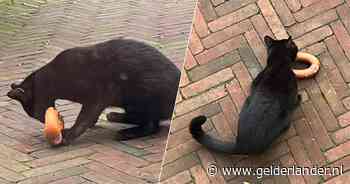 Kater Louis komt al hele week met rookworsten thuis, maar waar haalt hij ze vandaan?