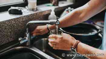 Tavares leaders table discussion on fluoride in drinking water until next meeting