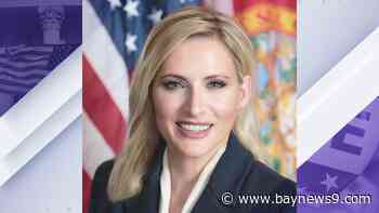 Lee wins reelection to Florida's Congressional District 15