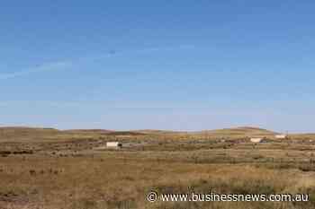 Bauk appointed Peninsula MD and CEO