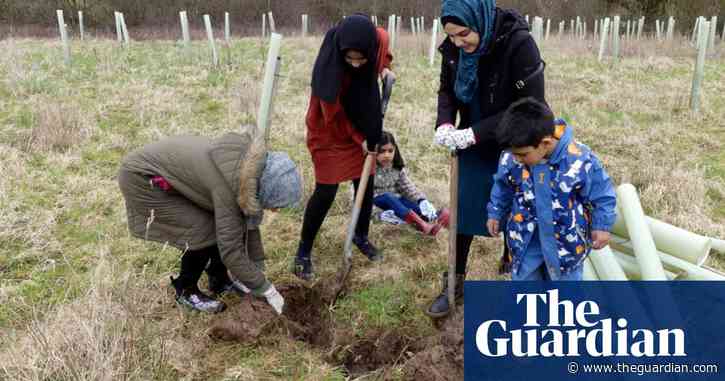 From farm to forest: the volunteers planting 100,000 trees in Somerset
