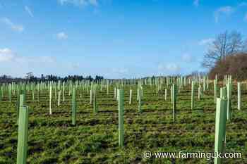 New £1m fund to reward farmers for slashing emissions