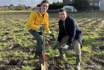 Jeroen (24) en Ewoud (26) zijn jongste schepenen ooit in hun gemeenten: “We willen meer leven in de brouwerij voor jongeren”