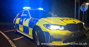 Woman 'punched in face' during a fight involving a group of men