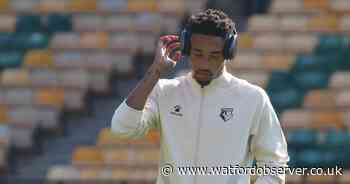 Jebbison social media antics anger many Watford fans