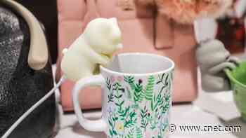 Stop Scalding Your Tongue: This $25 Cat Robot 'Blows' on Your Drink to Cool It