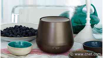 Best Essential Oil Diffusers for 2025