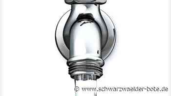 Gebühren in Neubulach: Sind alle Bürger ehrlich, dann sinken die Kosten