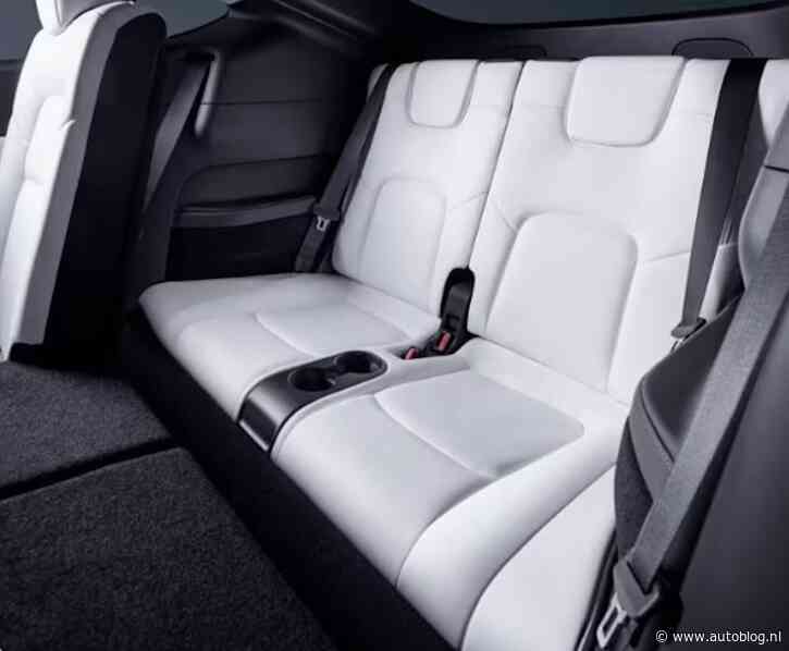 Kinderen krijgen wordt duurder bij Tesla