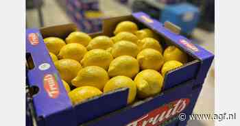 "Het ergste is achter de rug voor Turkse citroenen"